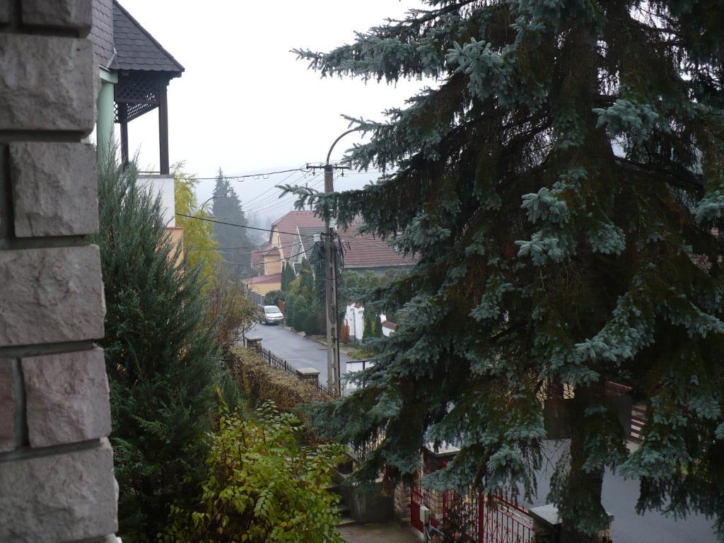 Apartmán Kitty Apartman Miškovec Exteriér fotografie